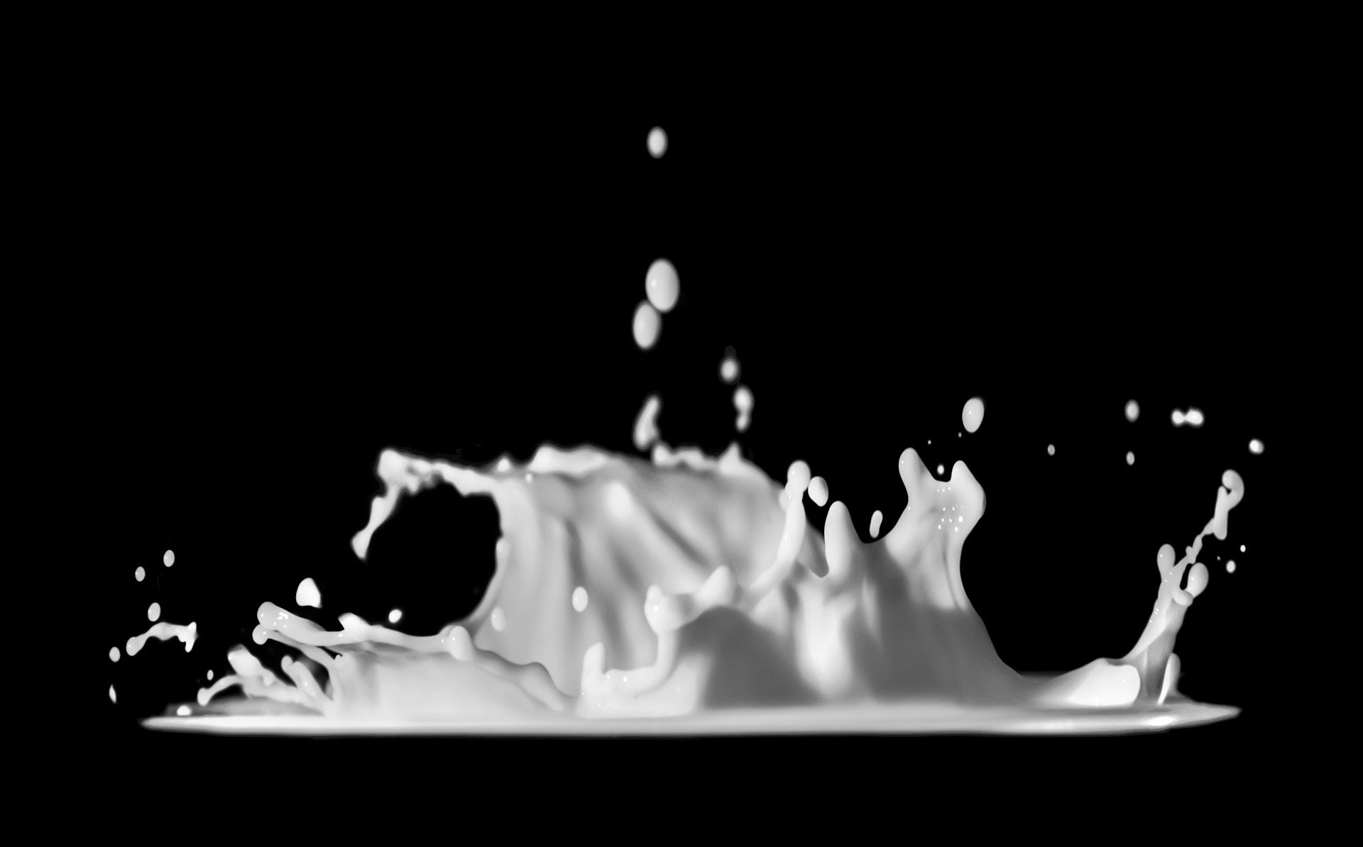 Fresh Milk